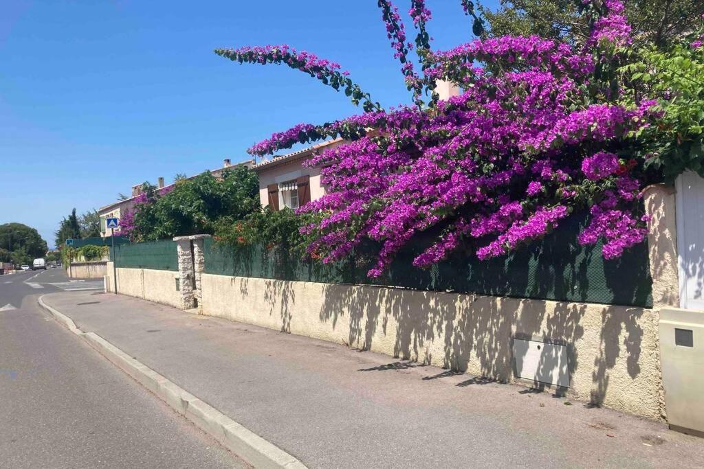 Magnifique villa avec piscine Villeneuve-lès-Maguelone Extérieur photo